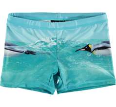 Norton Placed Swimwear